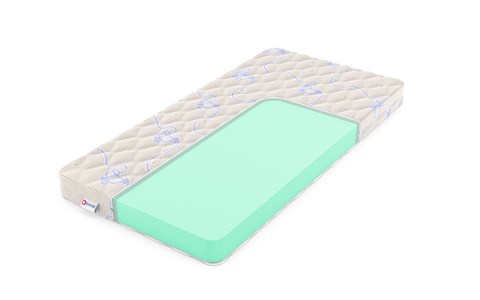 Детский матрас Denwir Eco Foam 10