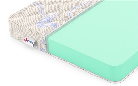 Детский матрас Denwir Eco Foam 10