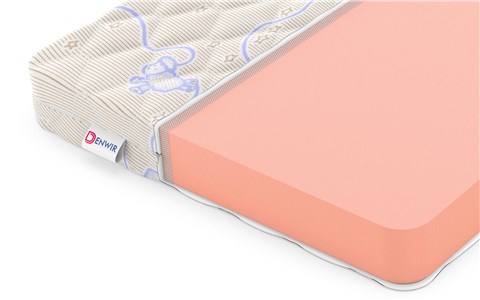 Детский матрас Denwir Top Foam 10