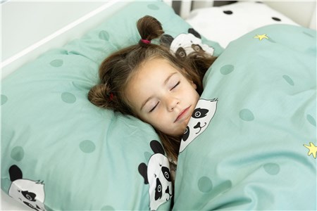 Детское постельное бельё Sweet Dreams Cute Panda (на резинке + молния)