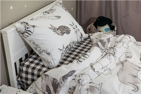 Детское постельное бельё Sweet Dreams Cute Kittens (на резинке + молния)