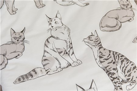 Детское постельное бельё Sweet Dreams Cute Kittens (на резинке + молния)