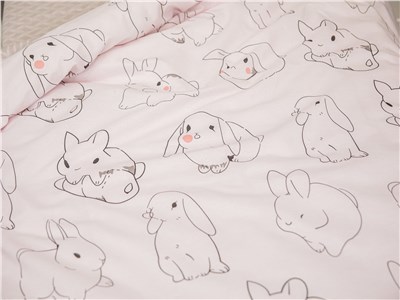 Детское постельное бельё Sweet Dreams Rabbit (на резинке + молния)