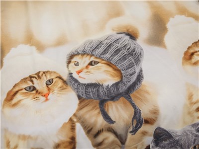 Детское постельное бельё Sweet Dreams Kitten in heats(на резинке + молния)