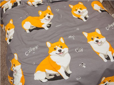 Детское постельное бельё Sweet Dreams Corgi (на резинке + молния) 