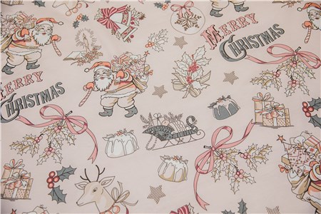Детское постельное бельё Sweet Dreams Merry Christmas (на резинке + молния)