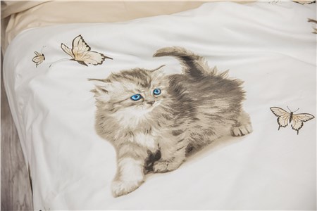 Детское постельное бельё Sweet Dreams Blue Eyed Kittens (на резинке + молния)