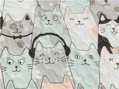 Детское покрывало Sweet Dreams Покрывало Kawaii Cats