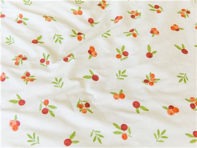 Детское постельное бельё Сладкие Сны(Sweet Dreams) Красные Ягодки(на резинке + молния)