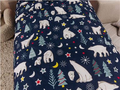 Детское постельное бельё Sweet Dreams Arctic Bear (на резинке + молния)
