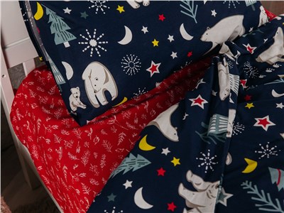 Детское постельное бельё Sweet Dreams Arctic Bear (на резинке + молния)