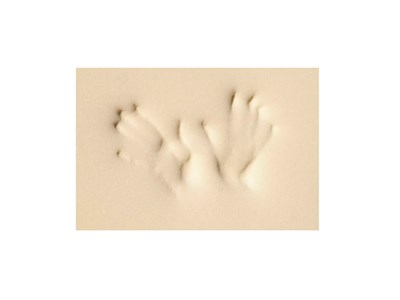 Детский матрас Luntek Small Ultra Comfort mix