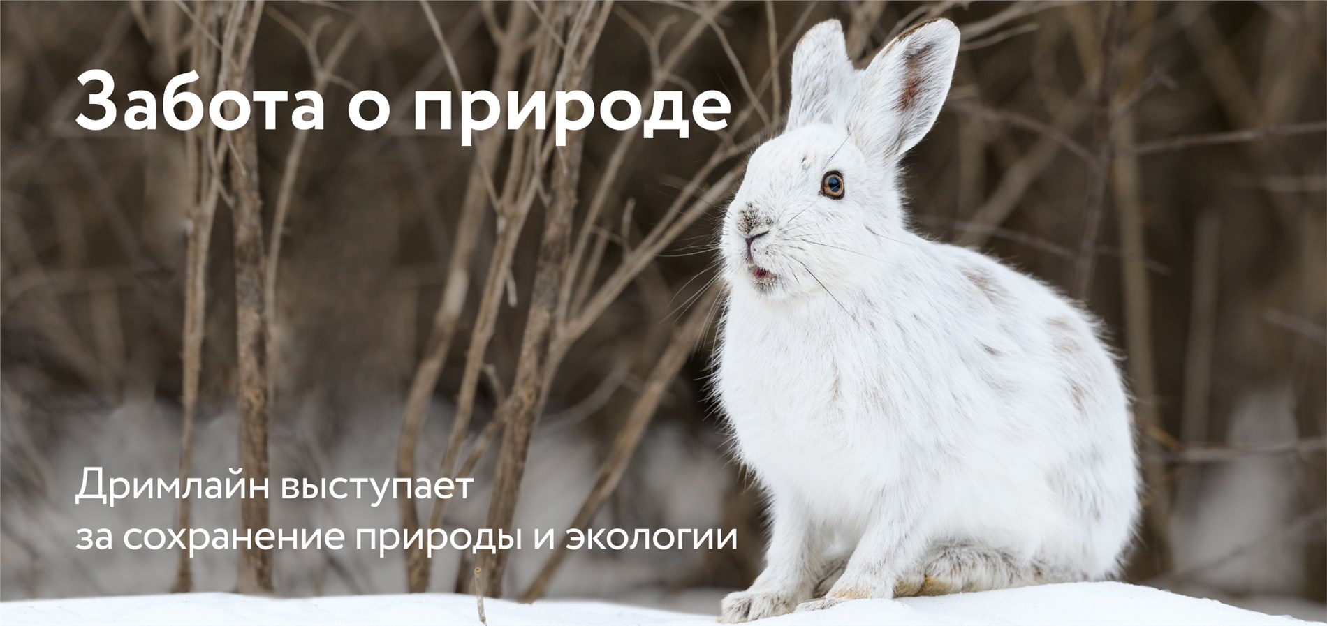 DreamLine за переработку пластика