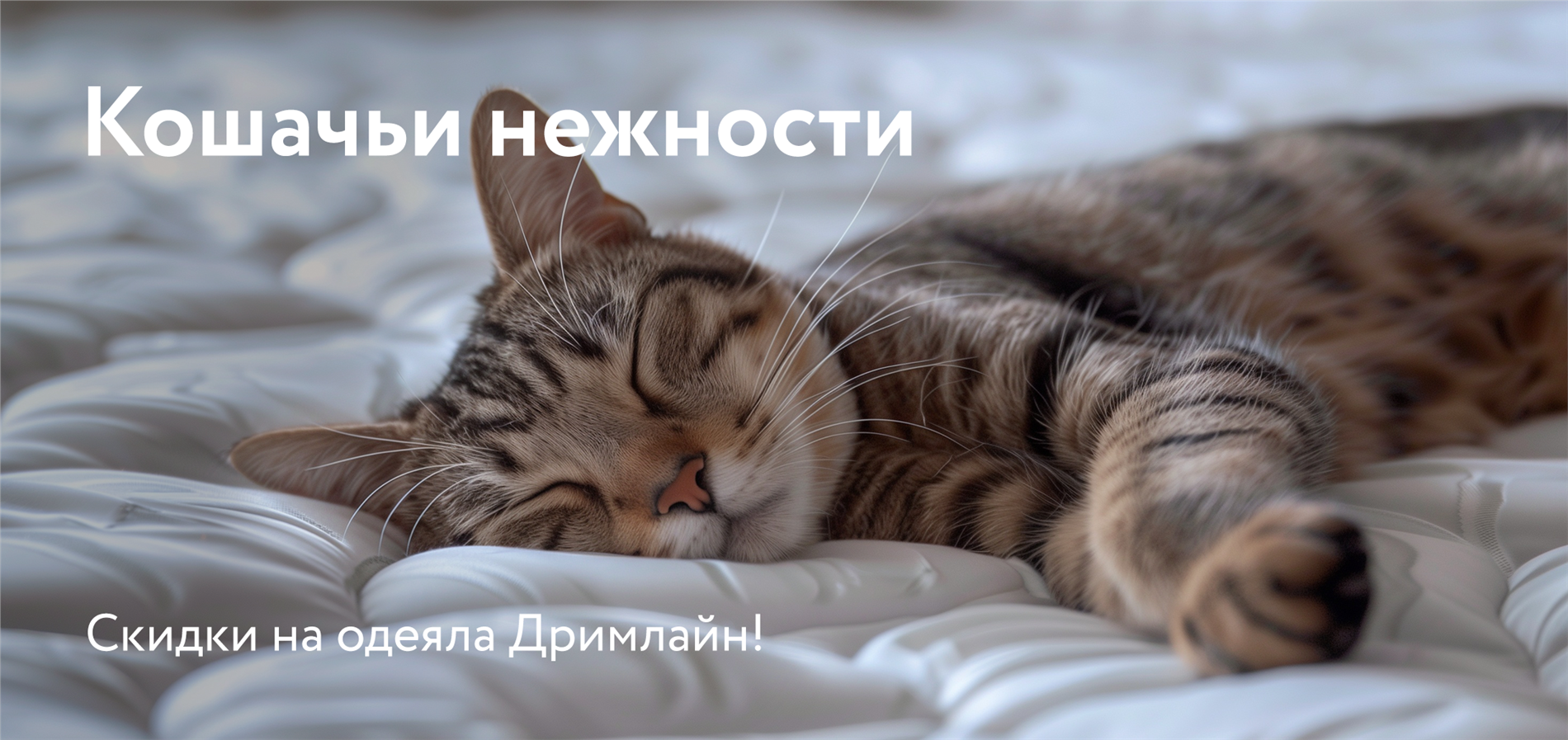 Выбери свое одеяло от Dreamline!