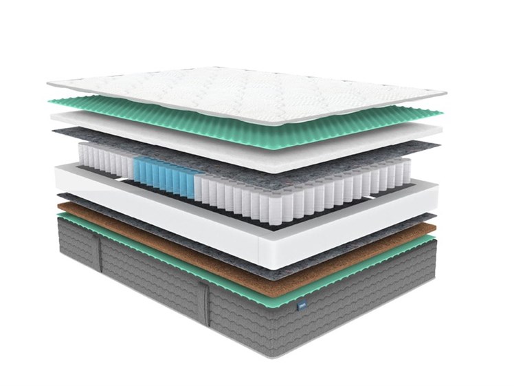 Teen Standart Strutto